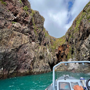 Meet your Posher, Sophia